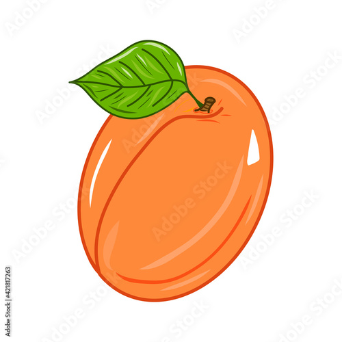 Illustration of creative colorful apricot icon. Idea for decors, logo, gifts, ornaments, celebrations, invitation, greeting, meeting, spring holidays, nature and fruit themes. Vegetarian. Isolated. 