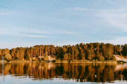 Lielupe river banks with a pine tree forest on the shore that is illuminated by the sunset sun