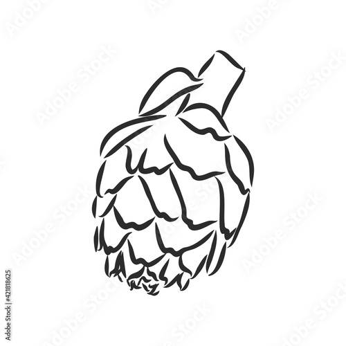 vector set of engraving illustration green vegetables artichoke on white background