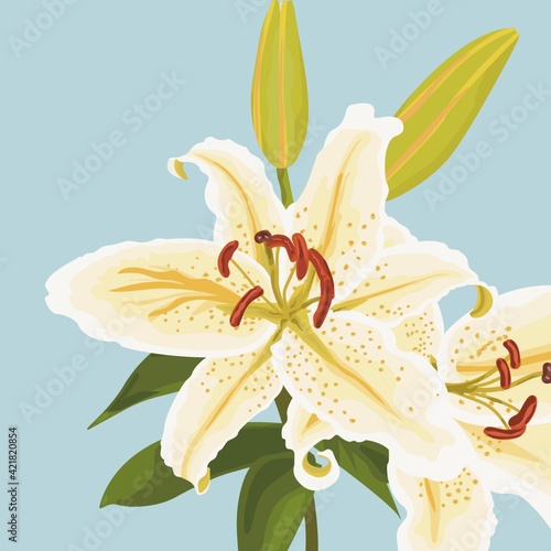 bouquet of lilies