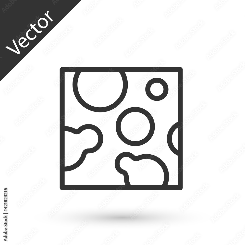 Grey line Cheese icon isolated on white background. Vector Grey line Cheese icon isolated on white background. Vector