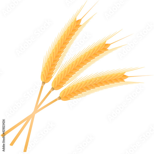 Barley rice grains and elements for beer logo