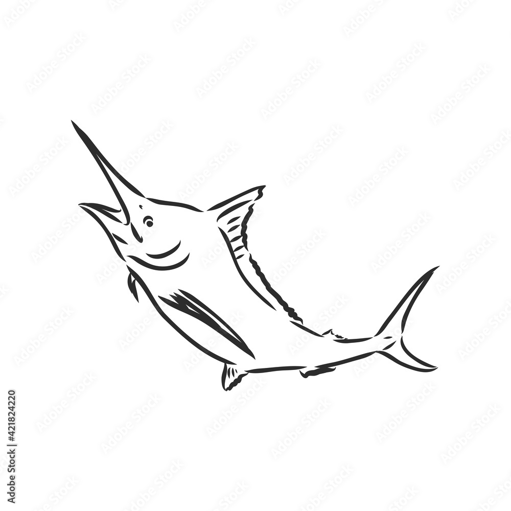 Fototapeta premium Marlin, swordfish zentangle stylized, vector, illustration, freehand pencil, hand drawn, pattern.