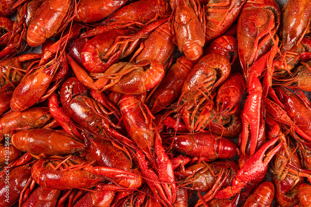 close up of boiled red crawfish or crayfish close up of boiled red crawfish or crayfish