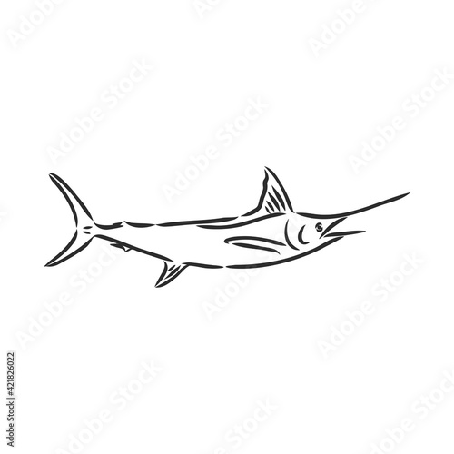 Marlin, swordfish zentangle stylized, vector, illustration, freehand pencil, hand drawn, pattern.