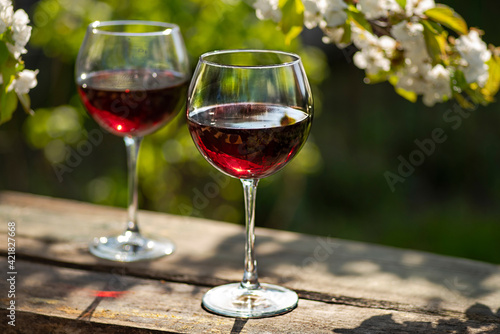 Photos Wine Tasting Party in spring in the garden