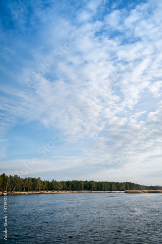 Gauja river flowing into the Baltic Sea near Carnikava  Latvia. Sunny weather  blue sky  white clouds and forest in the background