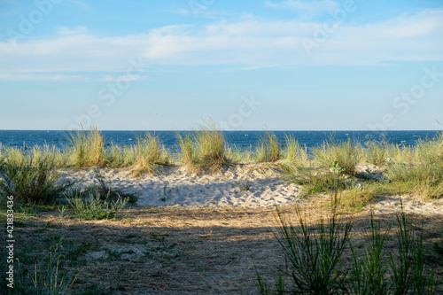 Fototapeta Naklejka Na Ścianę i Meble -  The view of the Baltic Sea from the dune on the beach of the small seaside resort of Zempin on Usedom