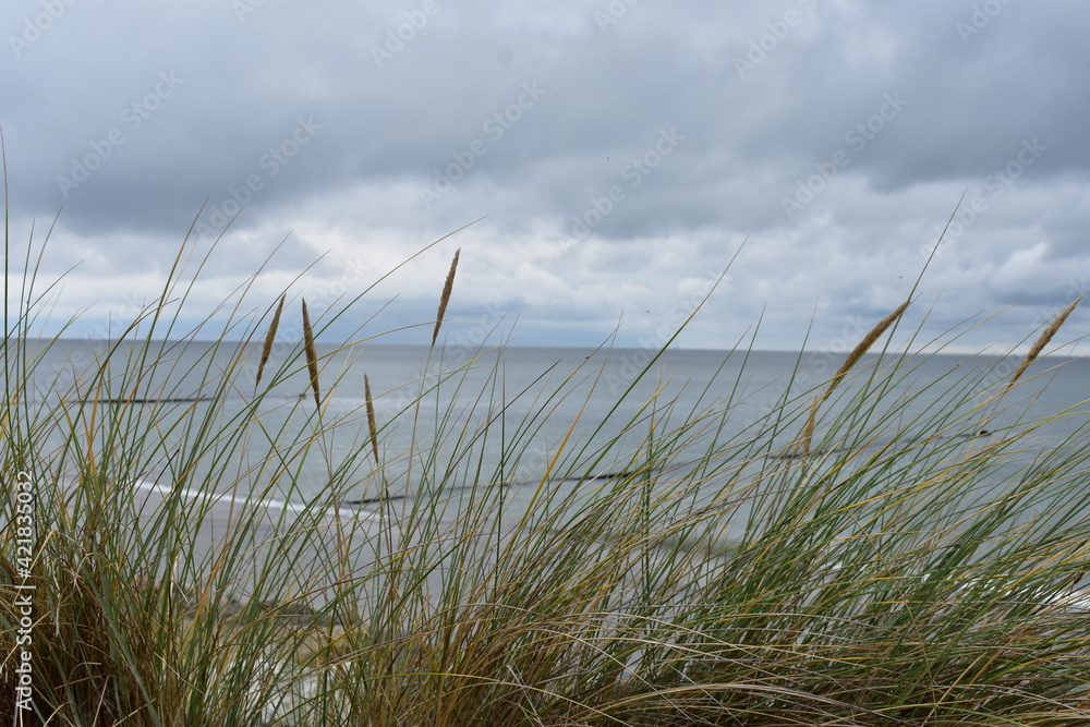 Fototapeta premium Ostseeküste