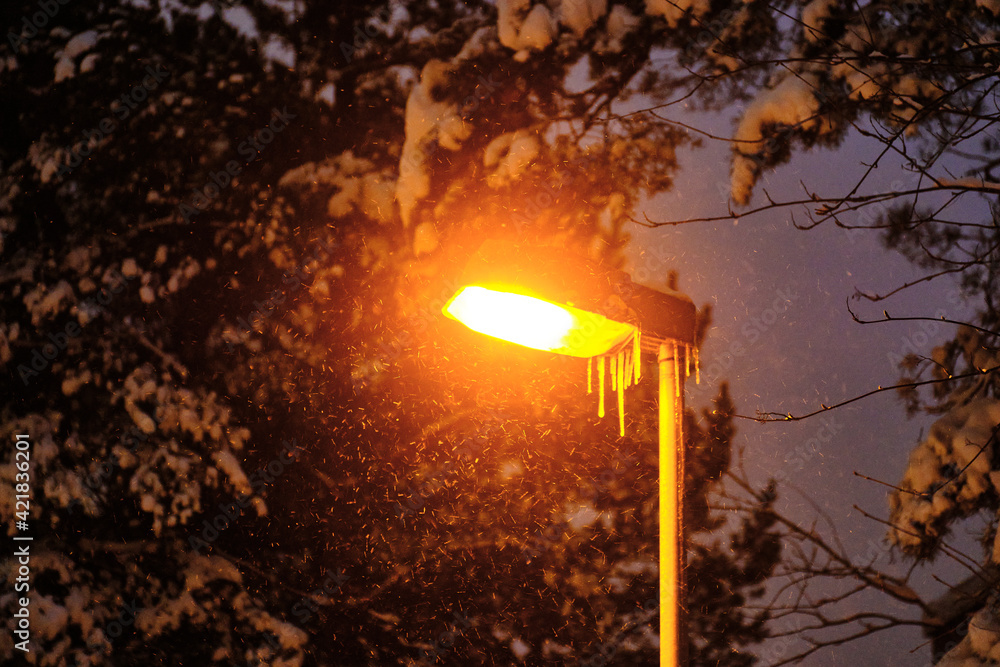 The modern street yellow light lamp during the snowfall in a European city. Snow-covered pine tree.