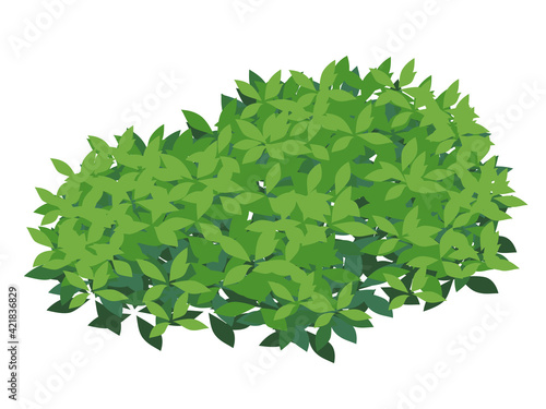 ツツジの木のイラスト_低木