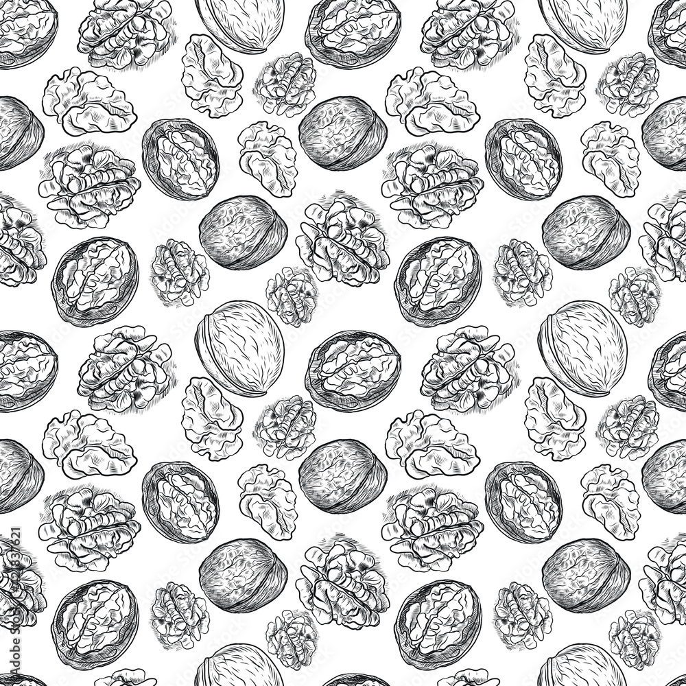 Walnuts hand-drawn illustration. Natural product vegetarianism. Sketch print textile vintage plants harvest patern seamless Walnuts hand-drawn illustration. Natural product vegetarianism. Sketch print textile vintage plants harvest patern seamless