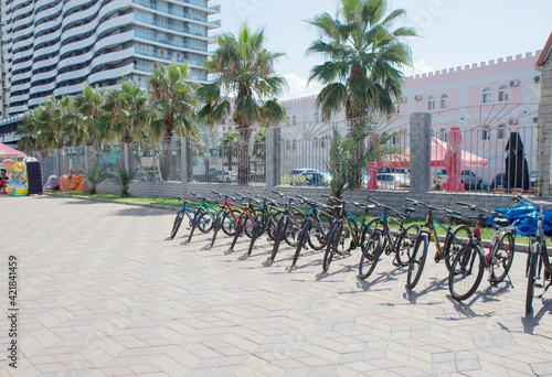 Rows of shared bicycle beside road in Batumi. New boulevard bicycles and tricycles rent station