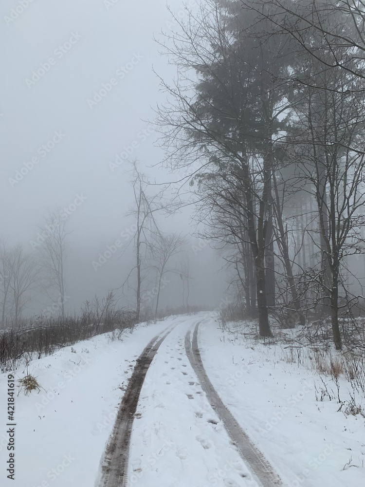 Obraz premium Winter-Wald