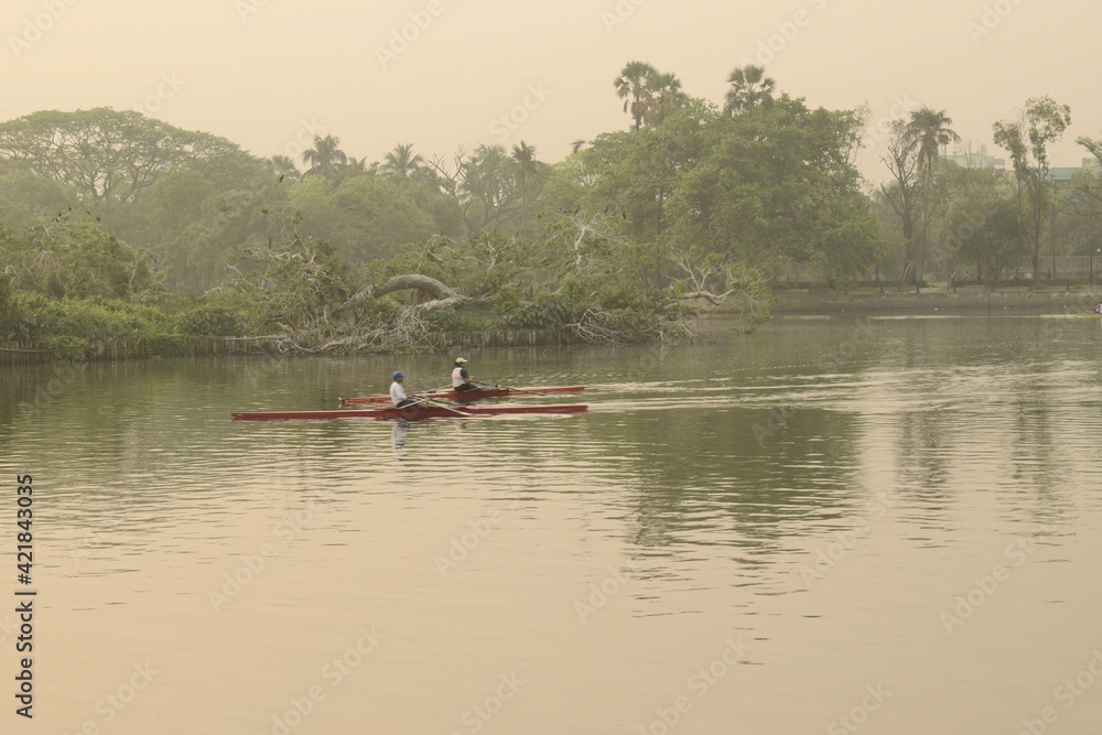 rowers rowing boats in the morning at rabindra sarobar lake, kolkata, west bengal, india