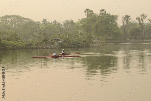rowers rowing boats in the morning at rabindra sarobar lake  kolkata  west bengal  india