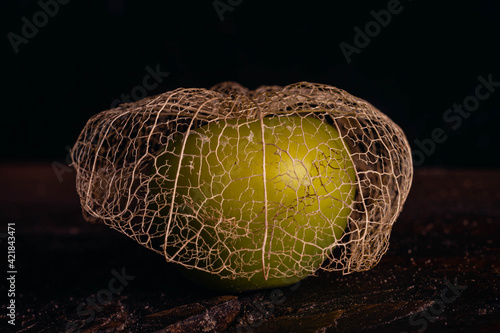 macro close-up of green tomato with dry skin or shell skeleton on wooden base photo