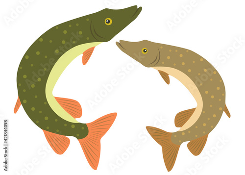 Set of cute pike jumping. Vector image.