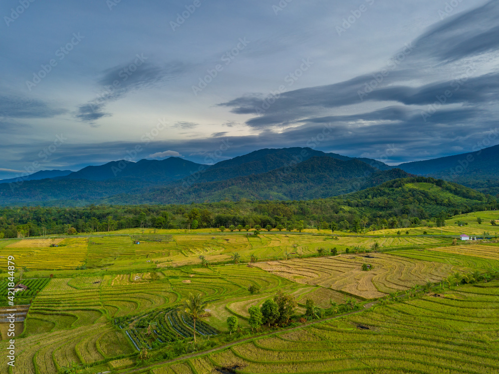 Morning air views on Indonesian rice terraces. morning view of mountain in indonesia