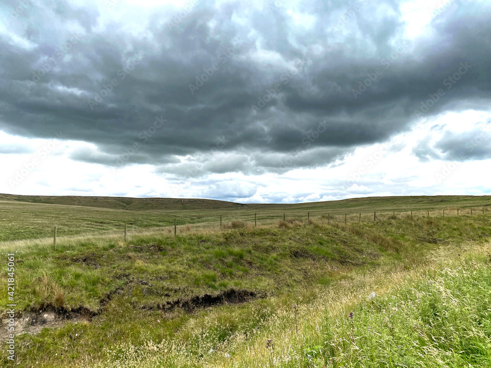 Heavy cloud, over the moors, with long grass, and wild plants, in the Yorkshire Dales near, Skipton, Yorkshire, UK