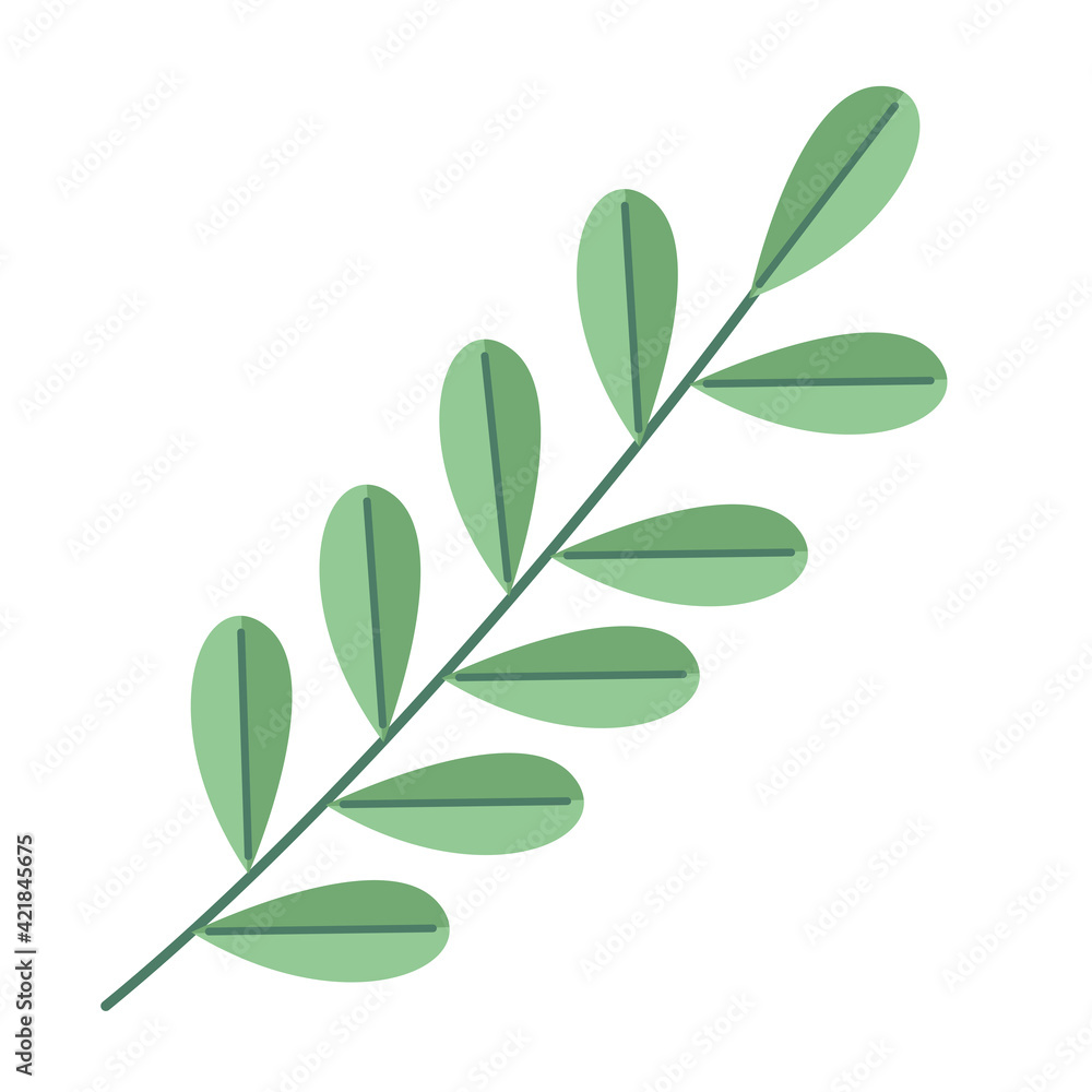 Obraz premium branch with leafs