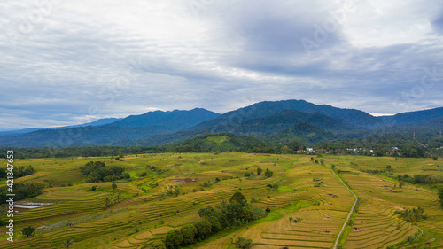 Aerial view of a small village with mountain ranges and vast rice fields