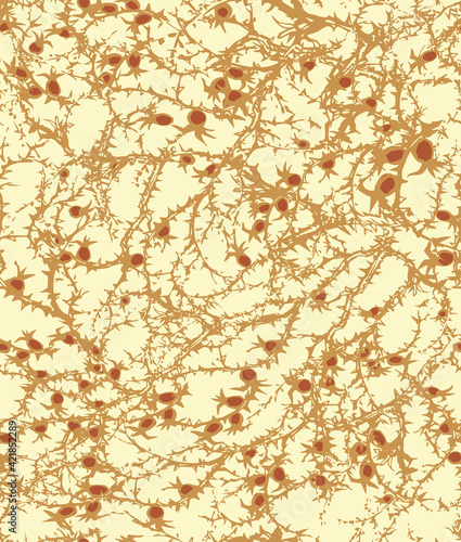 Branches of Blackthorn. Vector drawing
