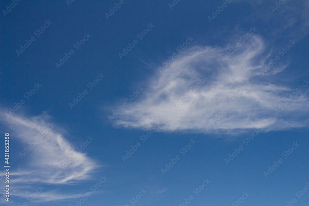 Beautiful white cotton-like clouds. White cloud cumulus. Water in the form of steam in the sky