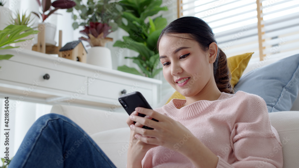 Young attractive beautiful casual asia female lady student look at cellphone play social media sit at sofa couch living room feel relax comfort carefree with green houseplant at cozy home apartment. Young attractive beautiful casual asia female lady student look at cellphone play social media sit at sofa couch living room feel relax comfort carefree with green houseplant at cozy home apartment.