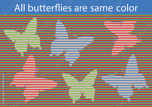 Optical illusion. All butterflies are the same color