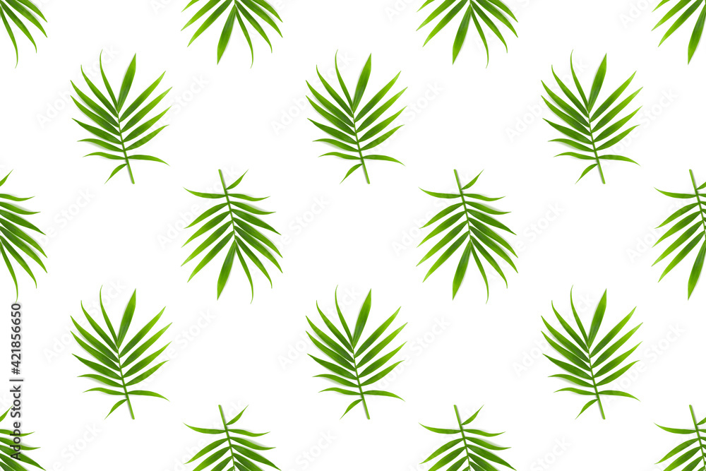 Seamless pattern with tropical palm leaves, isolated on a white background. Tropical or summertime concept.