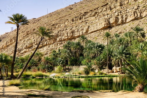 A beautiful oasis in Oman, wadi bani full of greenery, palm trees and a river in a desert  photo