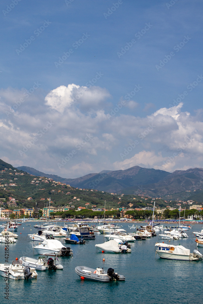Yachts in the sea against the backdrop of mountains and the city.