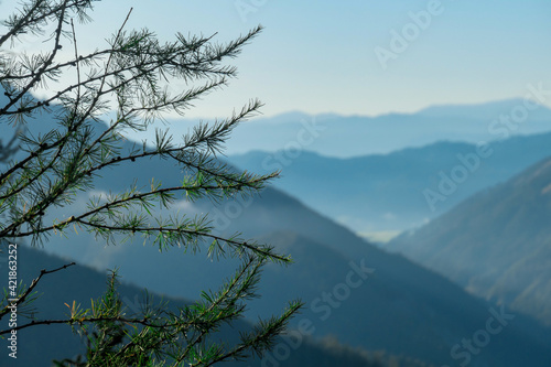 The view on the Alpine valley from the way to Hohe Weichsel in Austria. There is a dense forest on the sides. The valley is shrouded with mist. Early morning. Calmness and peace.