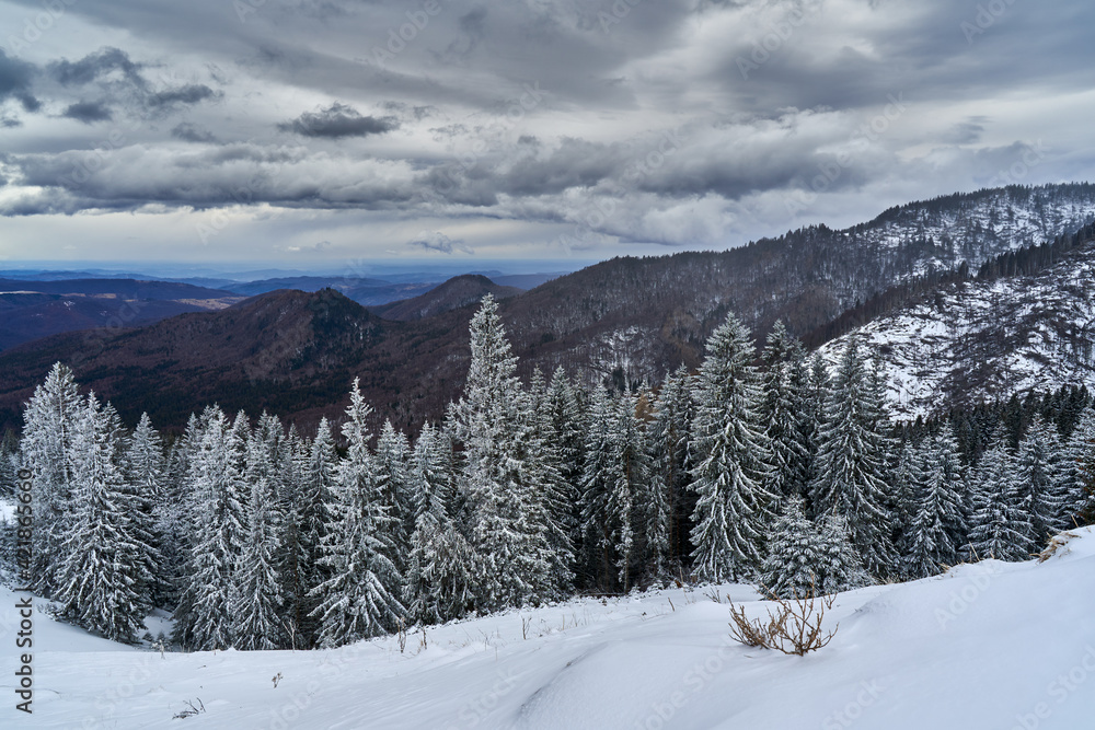 Mountains in the winter