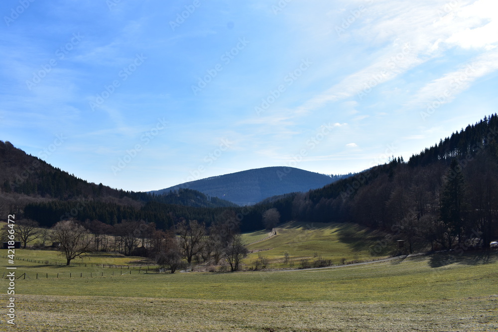 Wälder, Pflanzen und Natur Wälder, Pflanzen und Natur