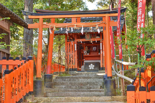 Wallpaper Mural 長岡稲荷大明神 Torontodigital.ca