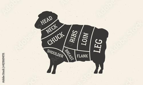 Cuts of Lamb. Butcher's diagram with Sheep silhouette. Meat cuts of Lamb. Vintage butcher guide template for grocery store, meat shop, butchery, restaurant. Vector illustration