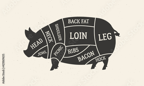 Cuts of Pork. Butcher's diagram with pig silhouette. Meat cuts of Pork. Vintage butcher guide template for grocery store, meat shop, butchery, restaurant. Vector illustration