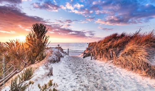Fototapeta Naklejka Na Ścianę i Meble -  traumküste