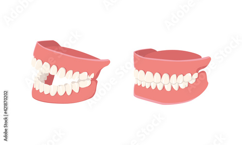 Human mouth with teeth isolated on white background. Opened and closed jaws. Dental model of human jaws. Healthy oral hygiene. Trendy graphic for stomatology, dentist. Vector illustration