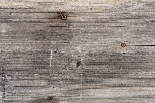 ants and nails on a board