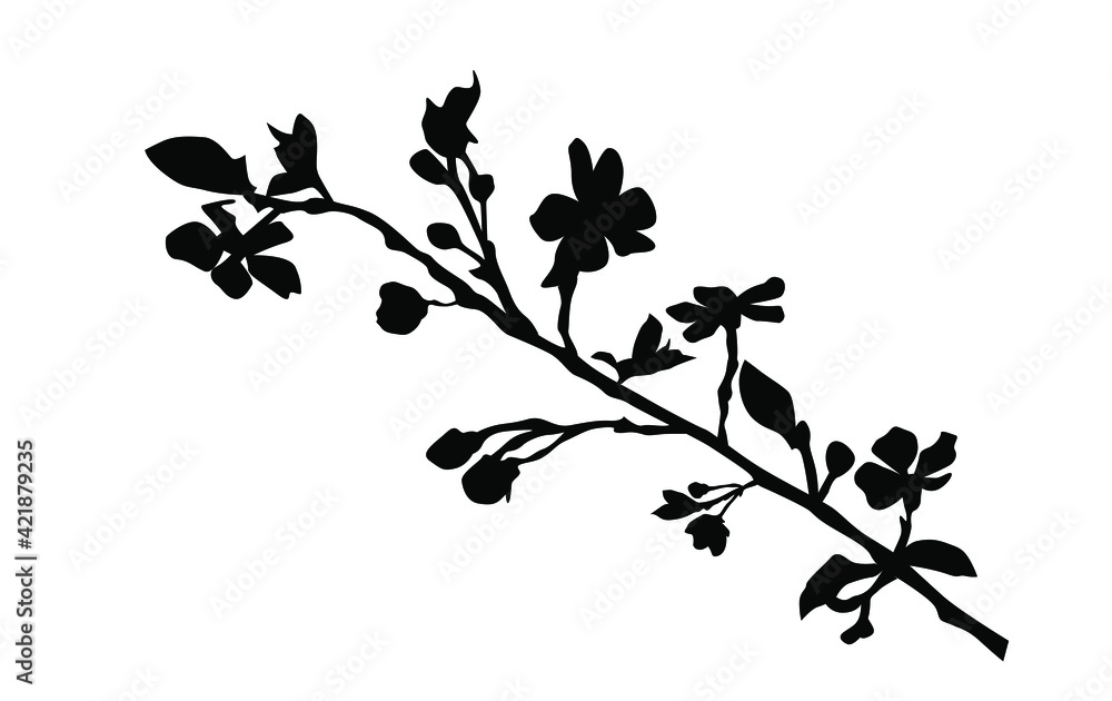 Vector silhouette of the branch of trees, with leaves, flowers, black color, isolated on white background Vector silhouette of the branch of trees, with leaves, flowers, black color, isolated on white background