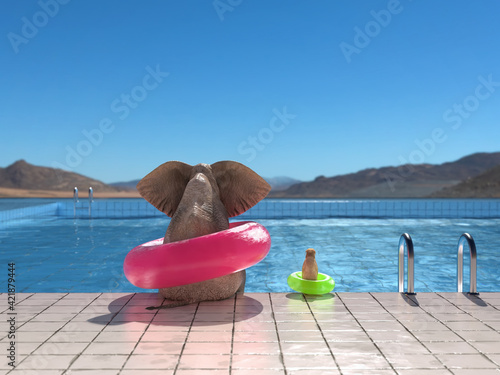 Photography elephant and dog sit on the edge of the pool