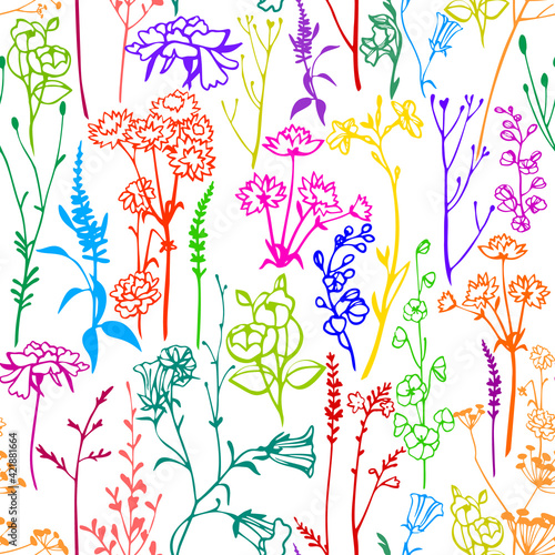 Botanical seamless pattern. Meadow herbs, plants, flowers. Line outline graphic drawing. Elegant floral silhouettes. Herbarium rustic style ornament.