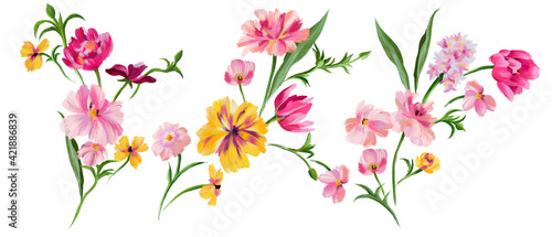 Botanical floral set. Hand drawn abstract meadow fantasy flowers collection isolated on white. Summer floral bouquets. © Galakam