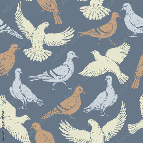 Doves.  Vector   pattern