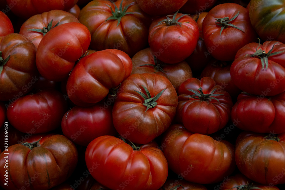 A lot of colorful and healthy tomatoes in a street market A lot of colorful and healthy tomatoes in a street market