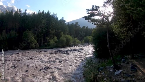 Mountain river flow among the forest