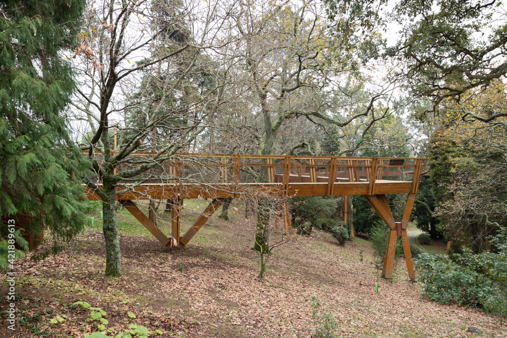 Wooden boardwalk in the park, Oporto, Portugal Wooden boardwalk in the park, Oporto, Portugal